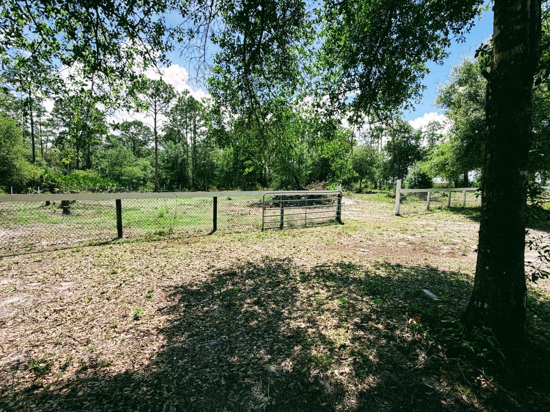 1101 Yeehaw Avenue, Clewiston, FL 33440 Photo