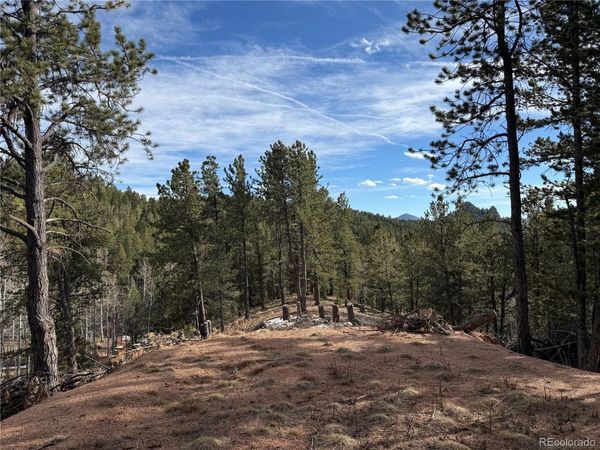 162 Eagle Drive , Divide, CO 80813