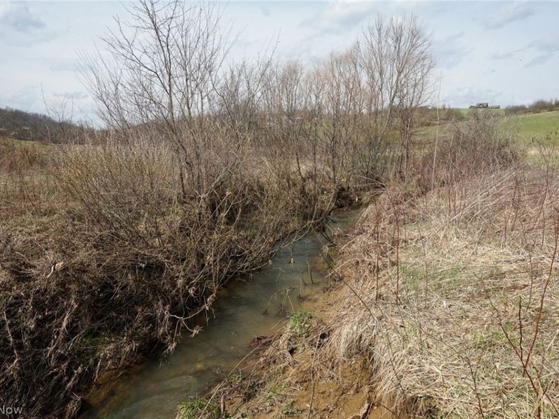 Perine Rd, Zanesville, OH 43701 Photo 6