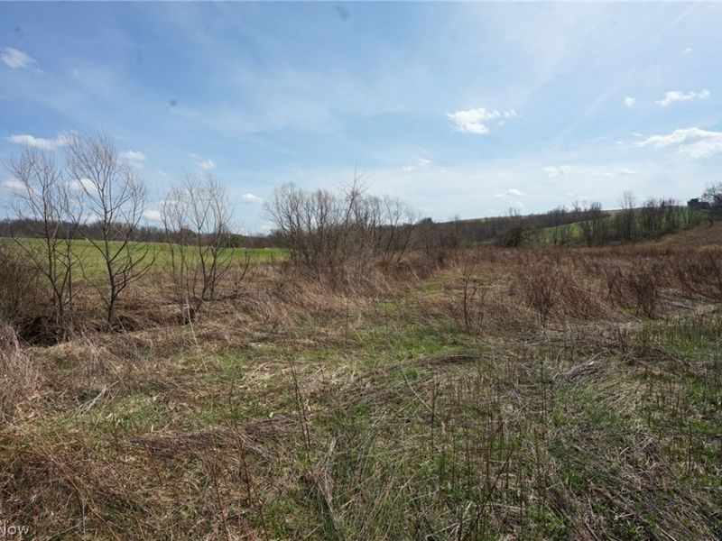 Perine Rd, Zanesville, OH 43701 Photo 8