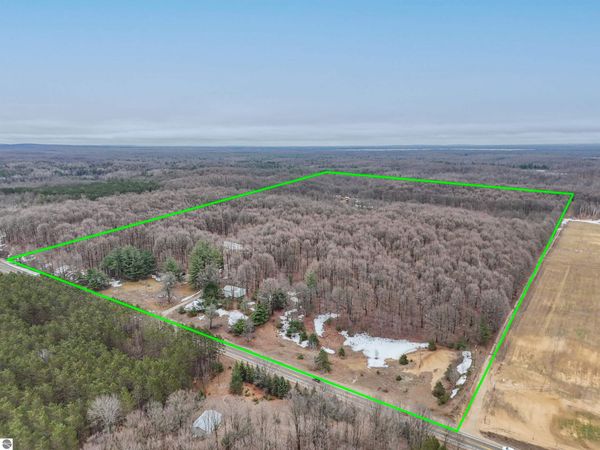 8299 Walker Road W, Manton, MI 49651