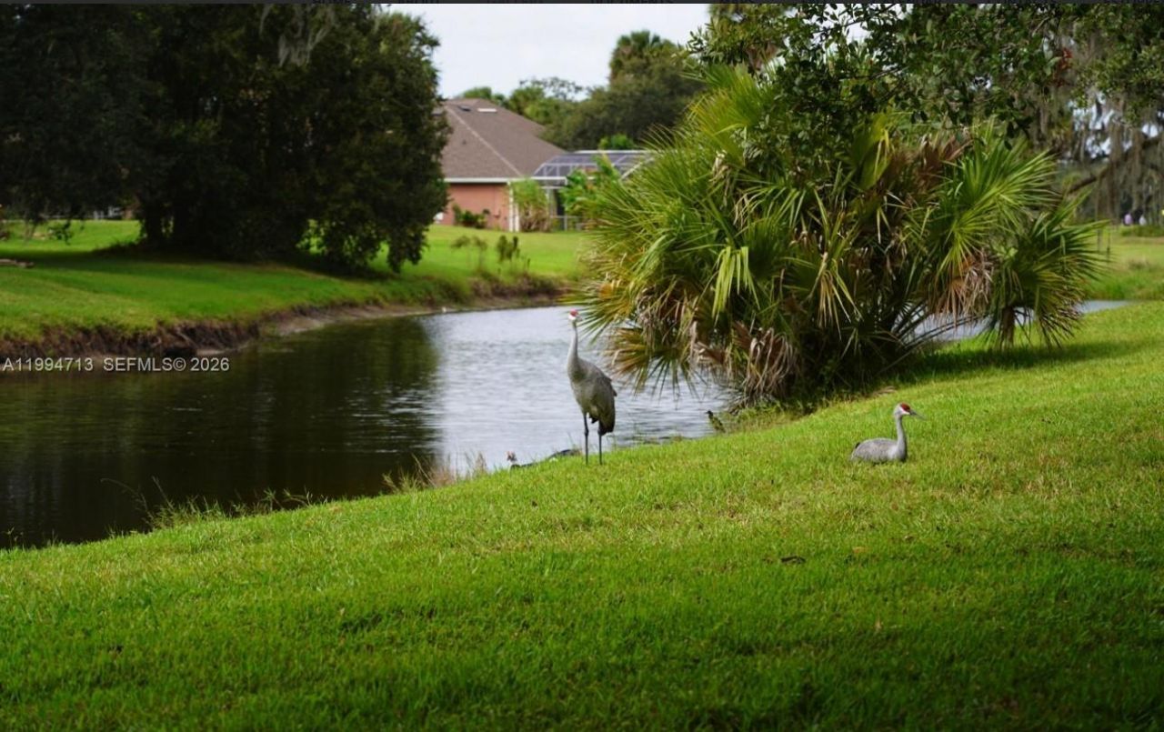 1754 Boat Launch Rd , Kissimmee, FL 34746 Photo