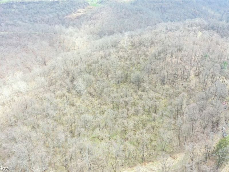 56835 Stephens Rd, Jacobsburg, OH 43933 Photo 16