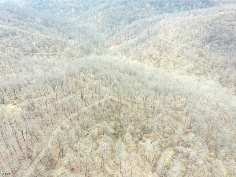 56835 Stephens Rd, Jacobsburg, OH 43933 Photo 17