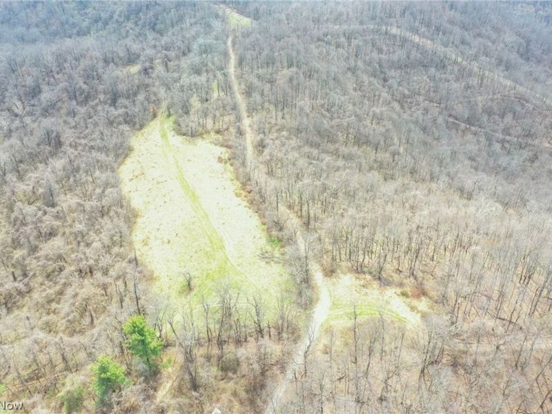 56835 Stephens Rd, Jacobsburg, OH 43933 Photo 18