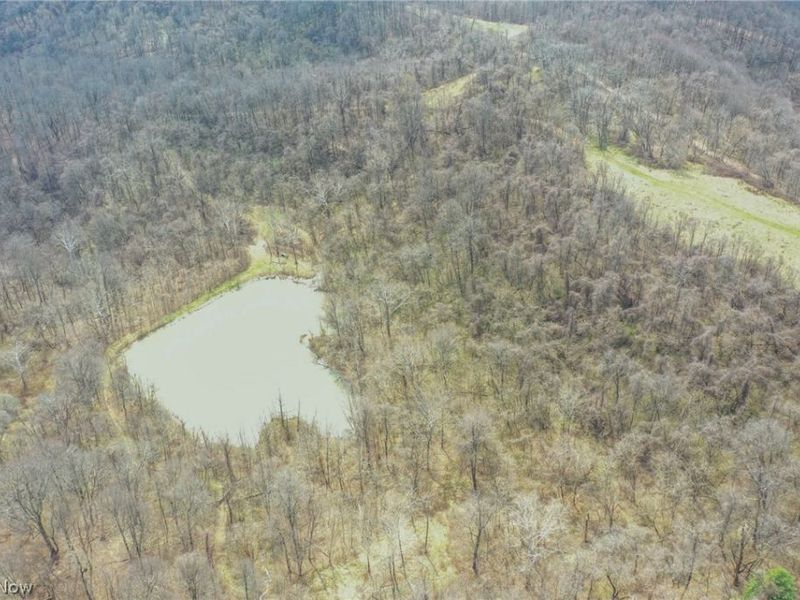 56835 Stephens Rd, Jacobsburg, OH 43933 Photo 19