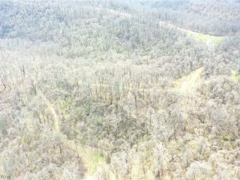 56835 Stephens Rd, Jacobsburg, OH 43933 Photo 20