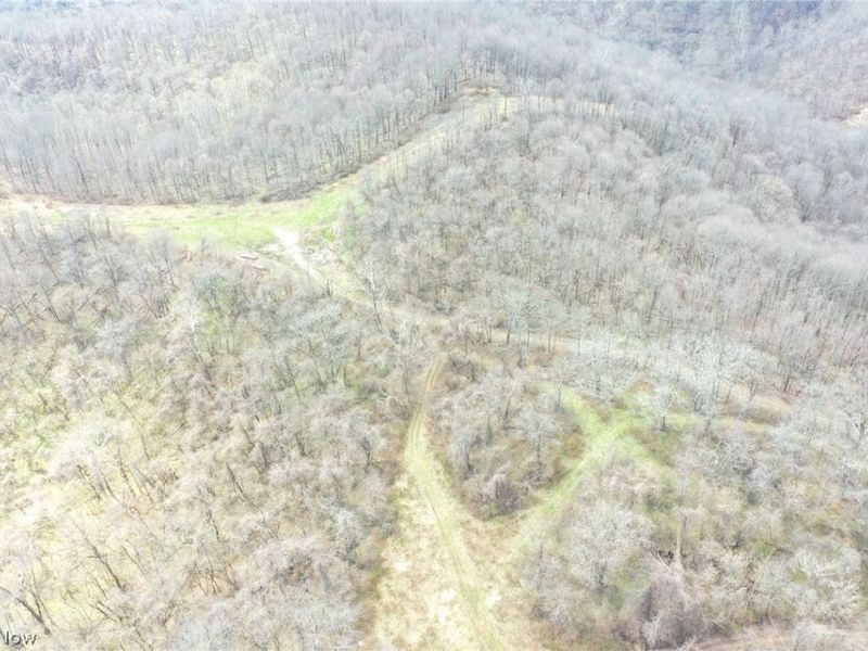 56835 Stephens Rd, Jacobsburg, OH 43933 Photo 21