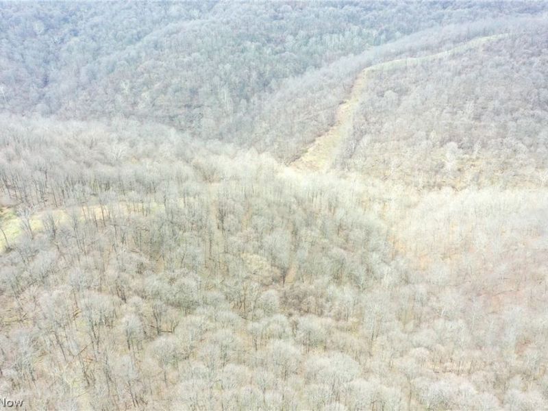 56835 Stephens Rd, Jacobsburg, OH 43933 Photo 22