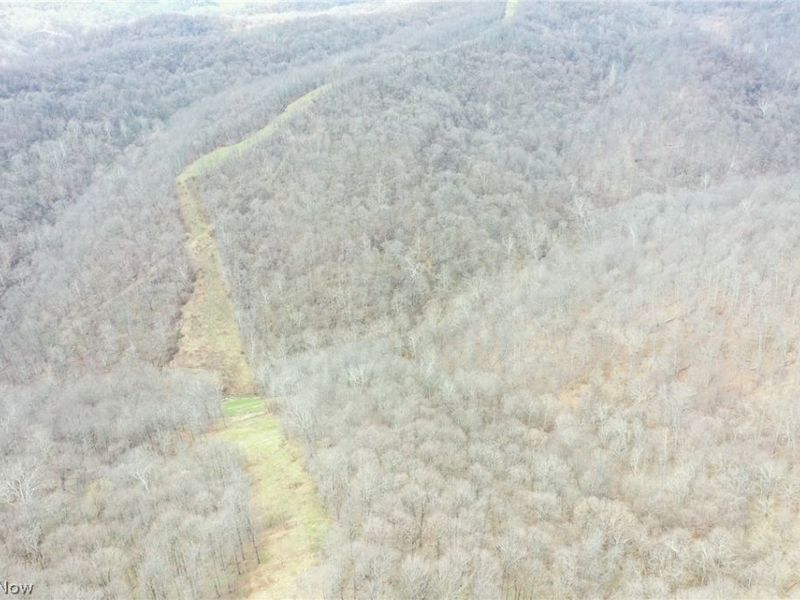 56835 Stephens Rd, Jacobsburg, OH 43933 Photo 23