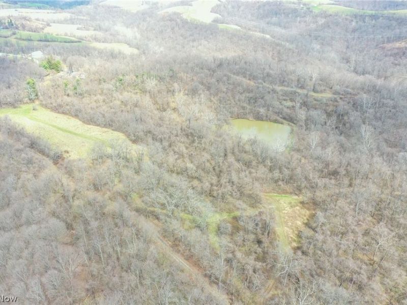 56835 Stephens Rd, Jacobsburg, OH 43933 Photo 24