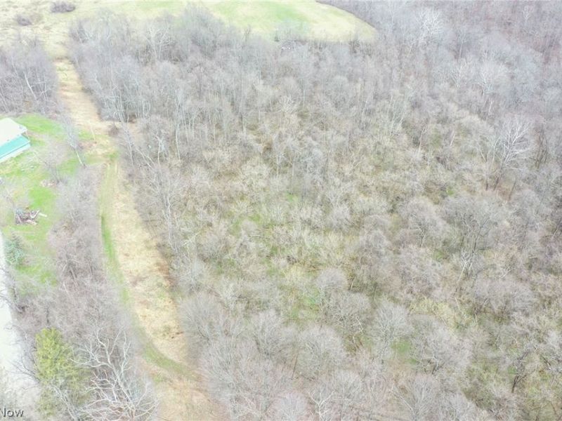 56835 Stephens Rd, Jacobsburg, OH 43933 Photo 25