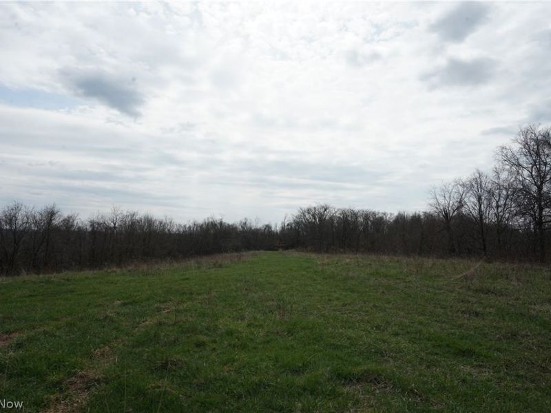 56835 Stephens Rd, Jacobsburg, OH 43933 Photo 26