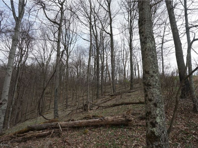 56835 Stephens Rd, Jacobsburg, OH 43933 Photo 28