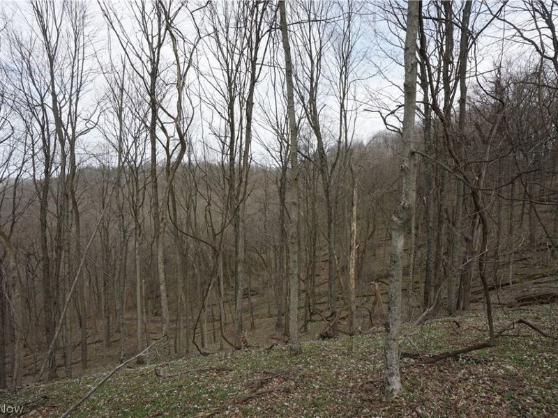 56835 Stephens Rd, Jacobsburg, OH 43933 Photo 29