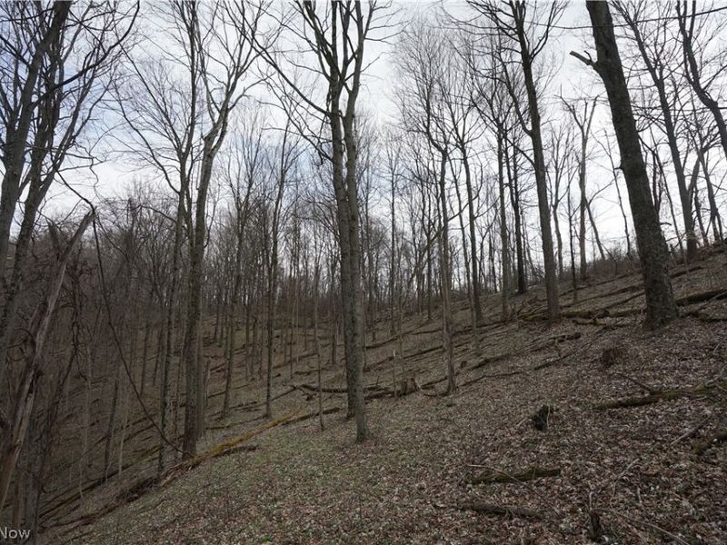 56835 Stephens Rd, Jacobsburg, OH 43933 Photo 30