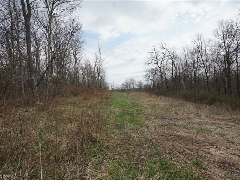 56835 Stephens Rd, Jacobsburg, OH 43933 Photo 31