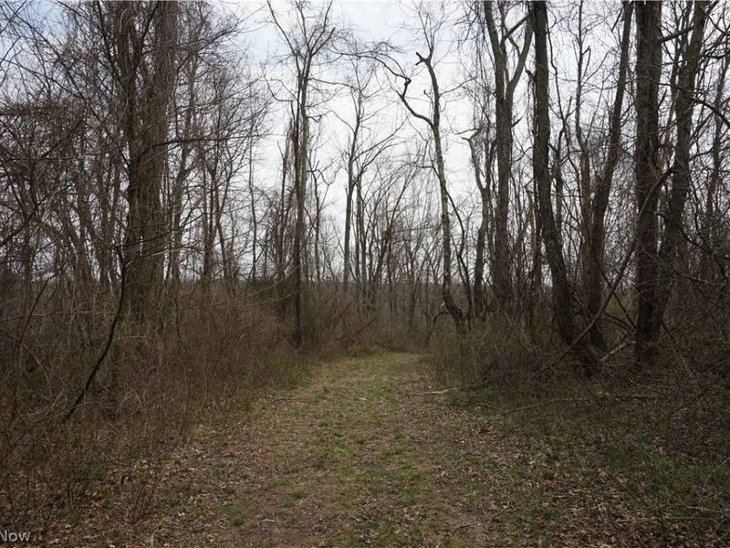 56835 Stephens Rd, Jacobsburg, OH 43933 Photo 32