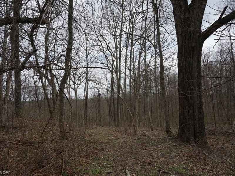 56835 Stephens Rd, Jacobsburg, OH 43933 Photo 33