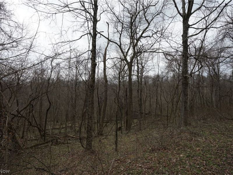 56835 Stephens Rd, Jacobsburg, OH 43933 Photo 34