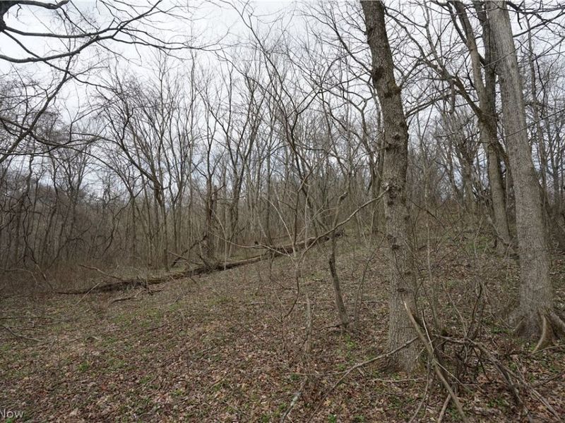 56835 Stephens Rd, Jacobsburg, OH 43933 Photo 35