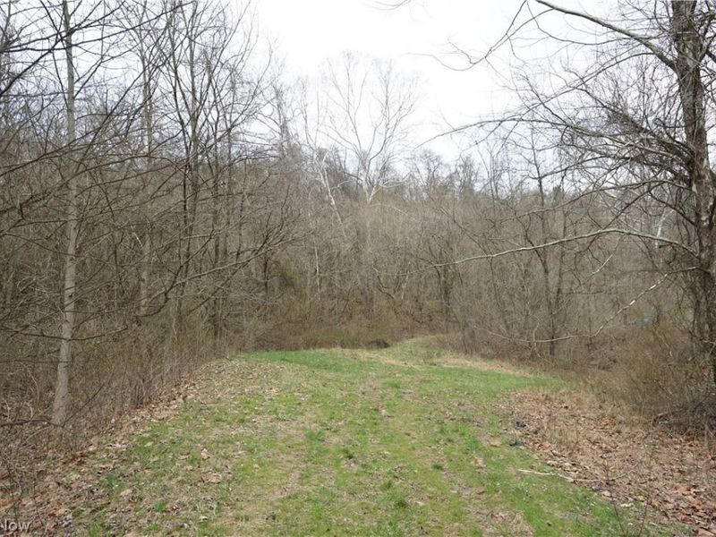 56835 Stephens Rd, Jacobsburg, OH 43933 Photo 36