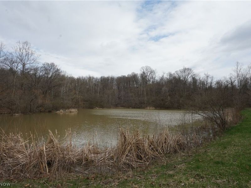 56835 Stephens Rd, Jacobsburg, OH 43933 Photo 37