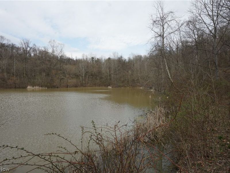 56835 Stephens Rd, Jacobsburg, OH 43933 Photo 38