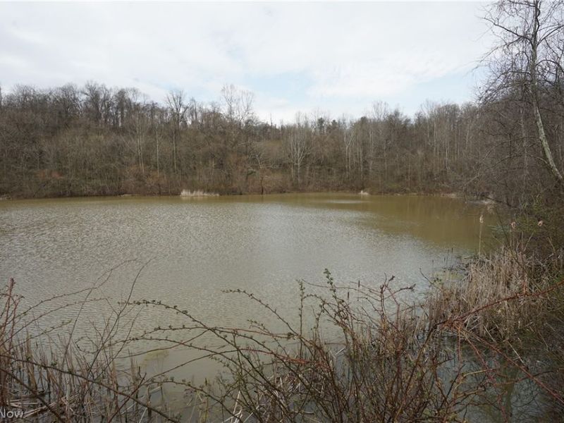 56835 Stephens Rd, Jacobsburg, OH 43933 Photo 39