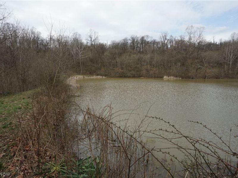 56835 Stephens Rd, Jacobsburg, OH 43933 Photo 40