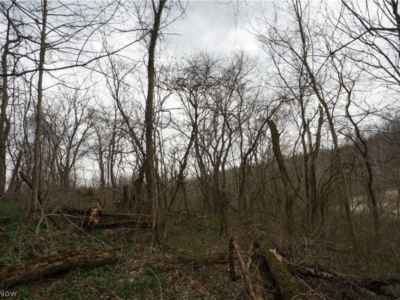 56835 Stephens Rd, Jacobsburg, OH 43933 Photo 41