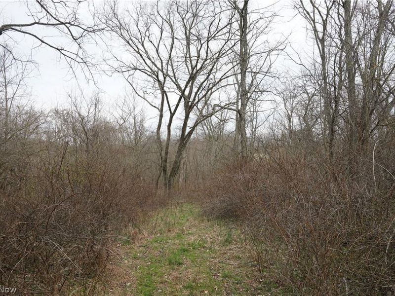 56835 Stephens Rd, Jacobsburg, OH 43933 Photo 43