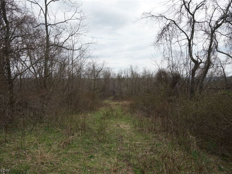 56835 Stephens Rd, Jacobsburg, OH 43933 Photo 44