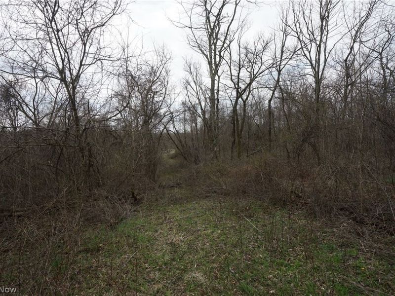 56835 Stephens Rd, Jacobsburg, OH 43933 Photo 45