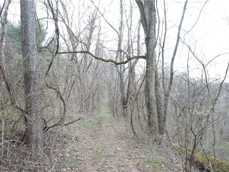 56835 Stephens Rd, Jacobsburg, OH 43933 Photo 46