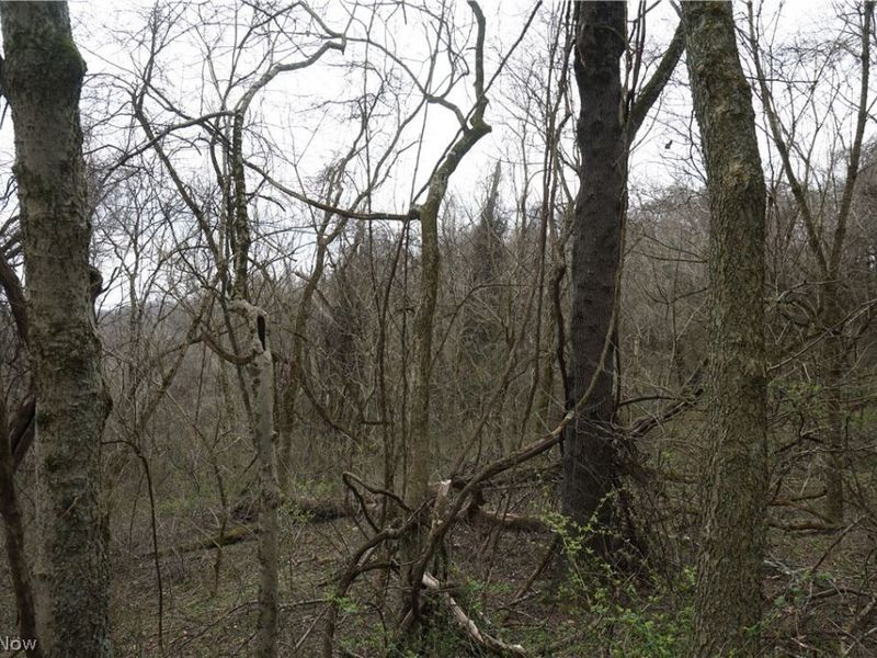 56835 Stephens Rd, Jacobsburg, OH 43933 Photo 47