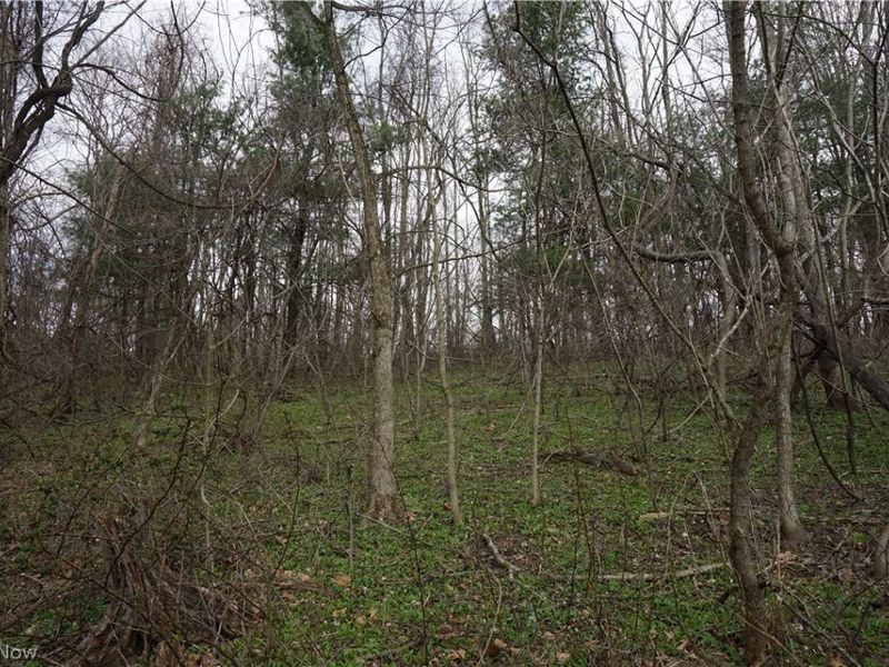 56835 Stephens Rd, Jacobsburg, OH 43933 Photo 48