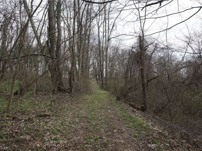 56835 Stephens Rd, Jacobsburg, OH 43933 Photo 49