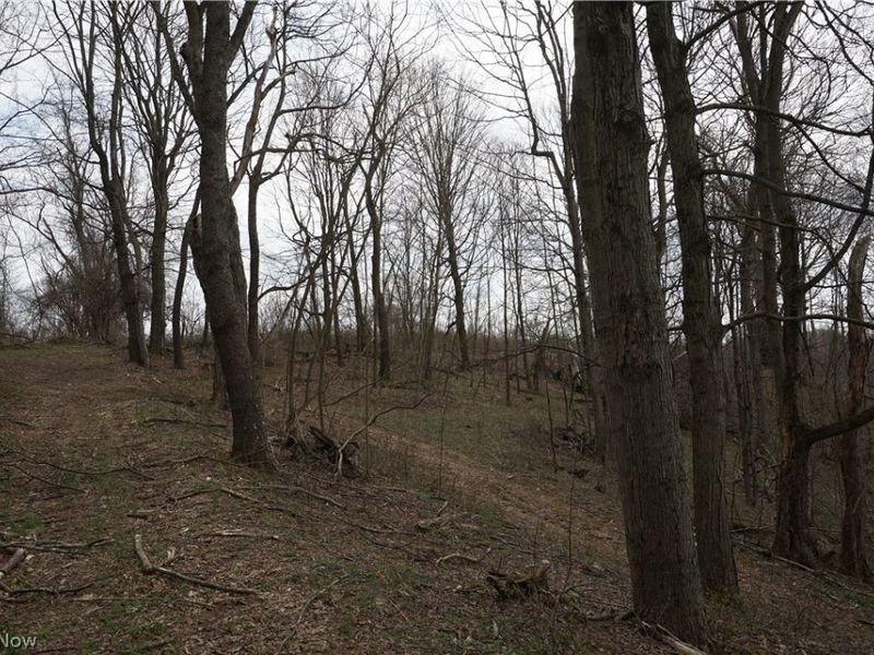 56835 Stephens Rd, Jacobsburg, OH 43933 Photo 50