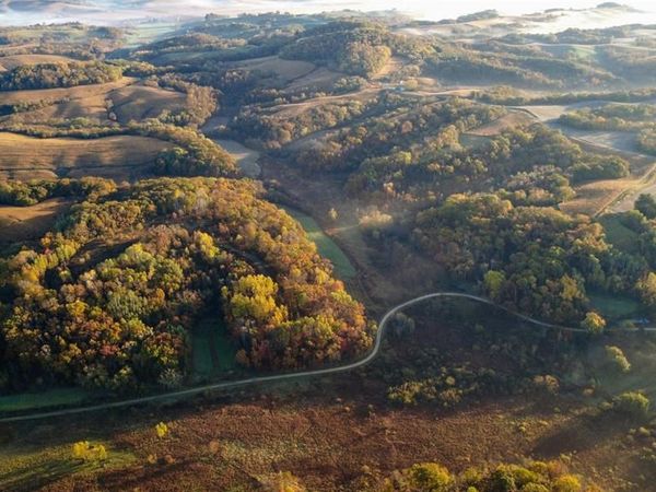 N35194 Przybilla Lane, Independence, WI 54747