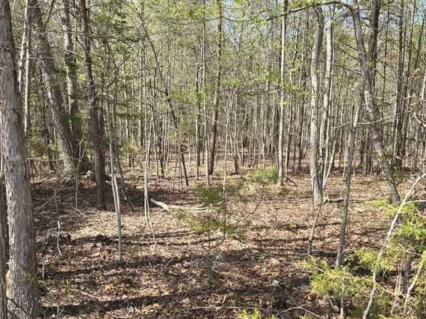 0 Trading Post RD , Huddleston, VA 24104