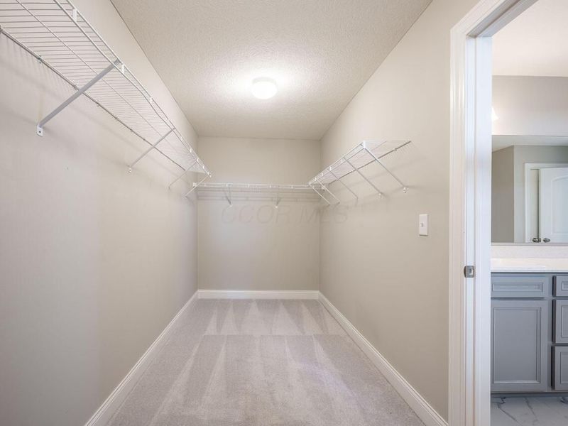 5727 Cleome Road, Westerville, OH 43081 Photo 35