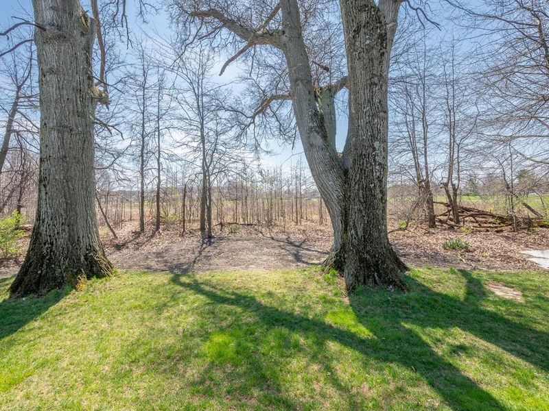 5727 Cleome Road, Westerville, OH 43081 Photo 59