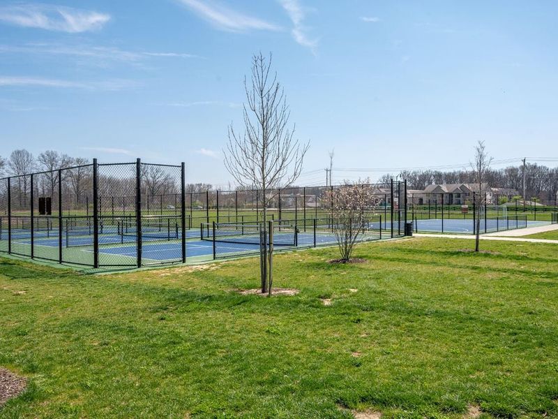 5727 Cleome Road, Westerville, OH 43081 Photo 65