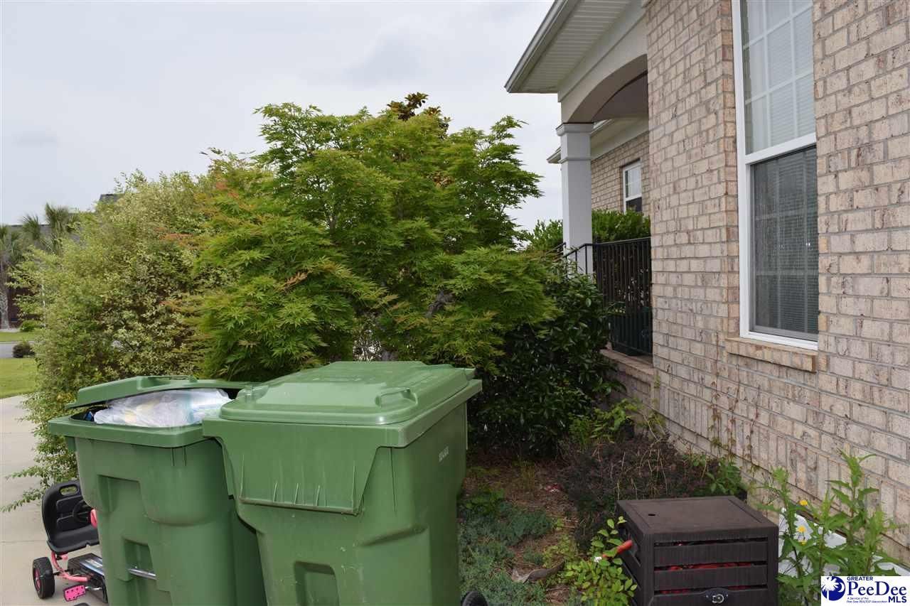 3032 Drakeshore Drive Photo 39