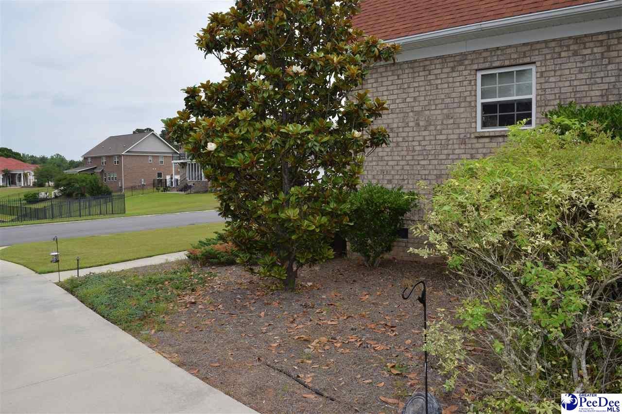 3032 Drakeshore Drive Photo 41