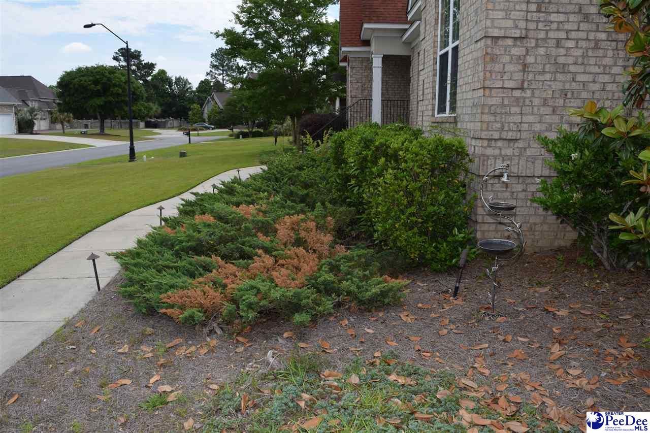 3032 Drakeshore Drive Photo 42