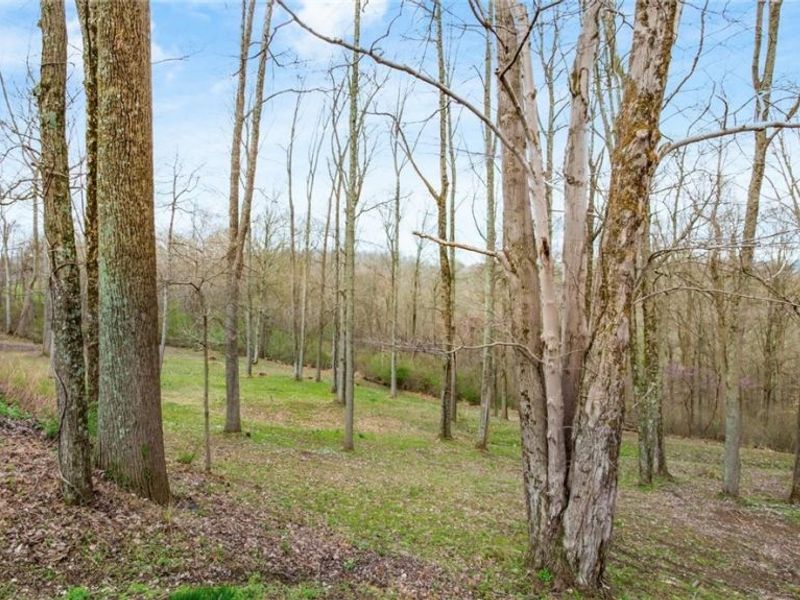 2531 Nicholas Lane, Dresden, OH 43821 Photo 36