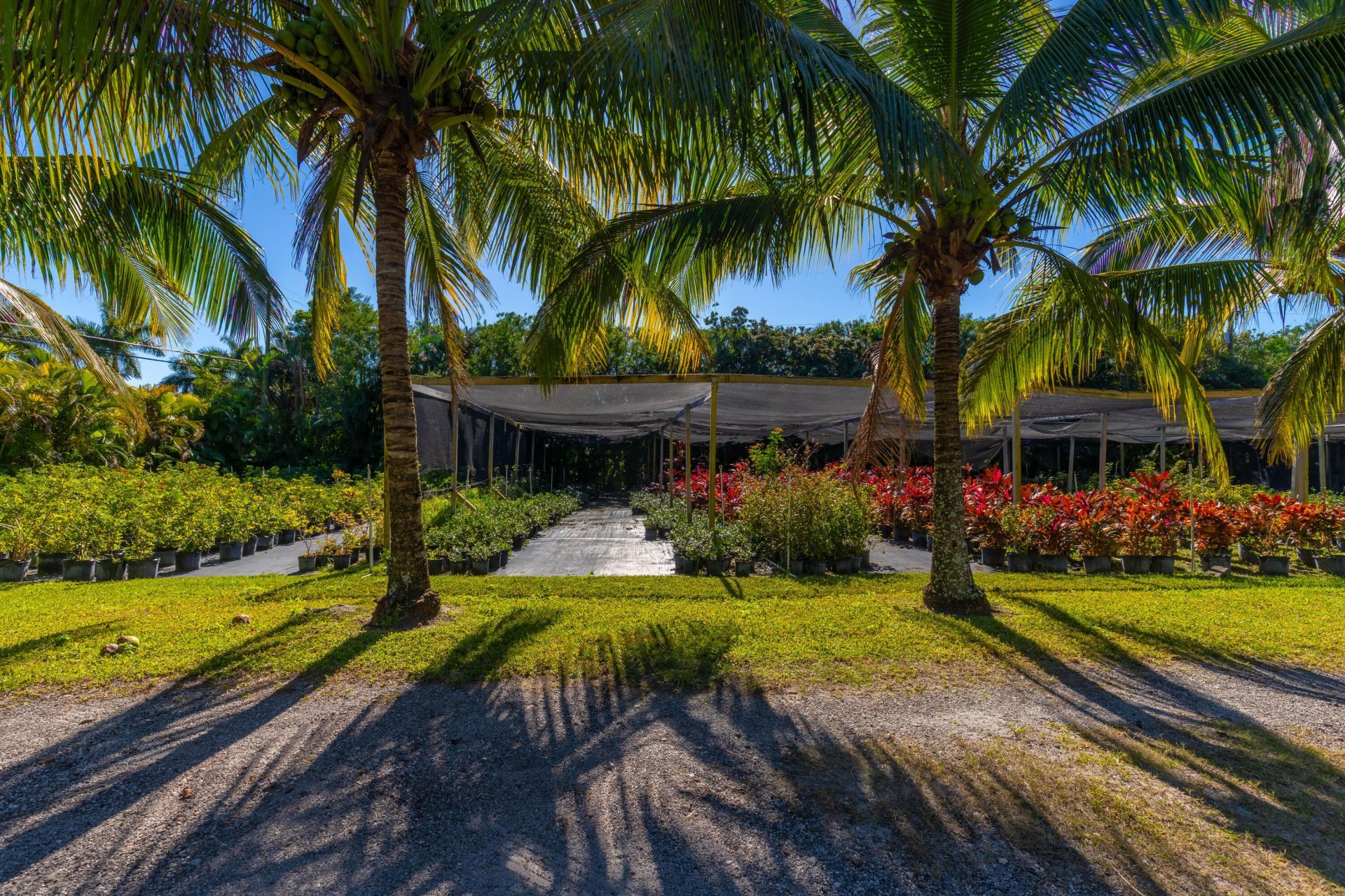 2943 B Road, Loxahatchee Groves, FL 33470 Photo