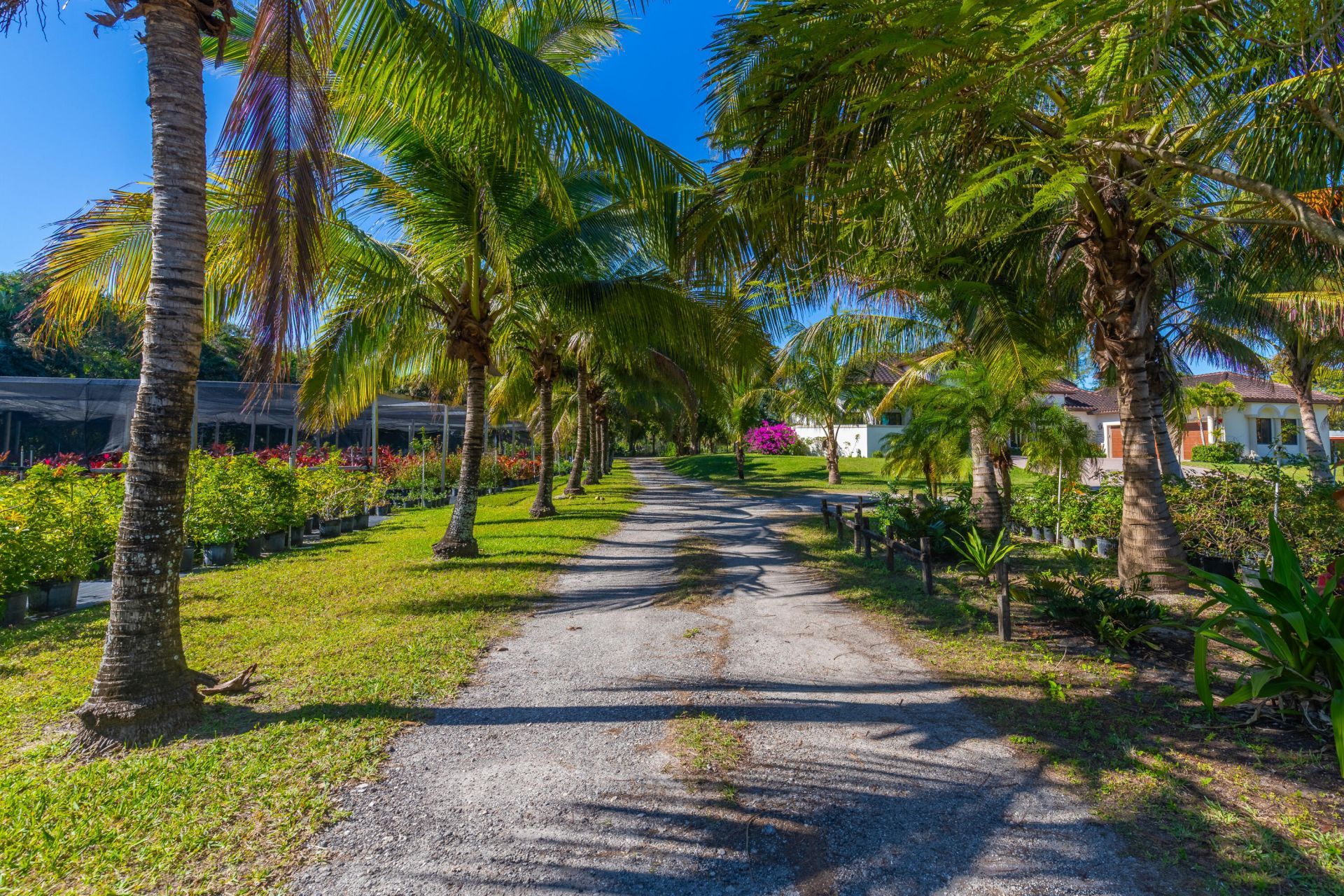 2943 B Road, Loxahatchee Groves, FL 33470 Photo